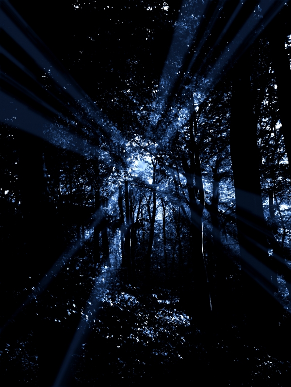 Creation of Kobalt Forest: Step 4
